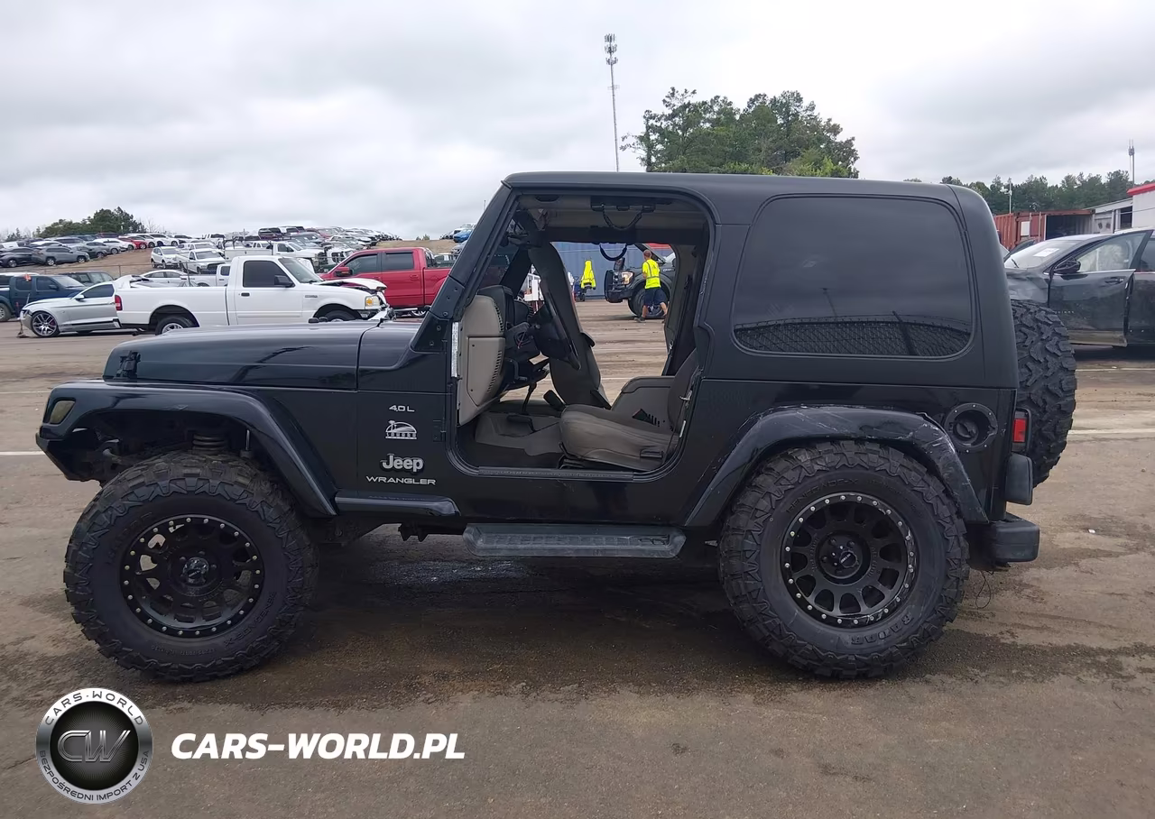 2003 Jeep Wrangler Sahara VIN:1J4FA59SX3P332963 - 14