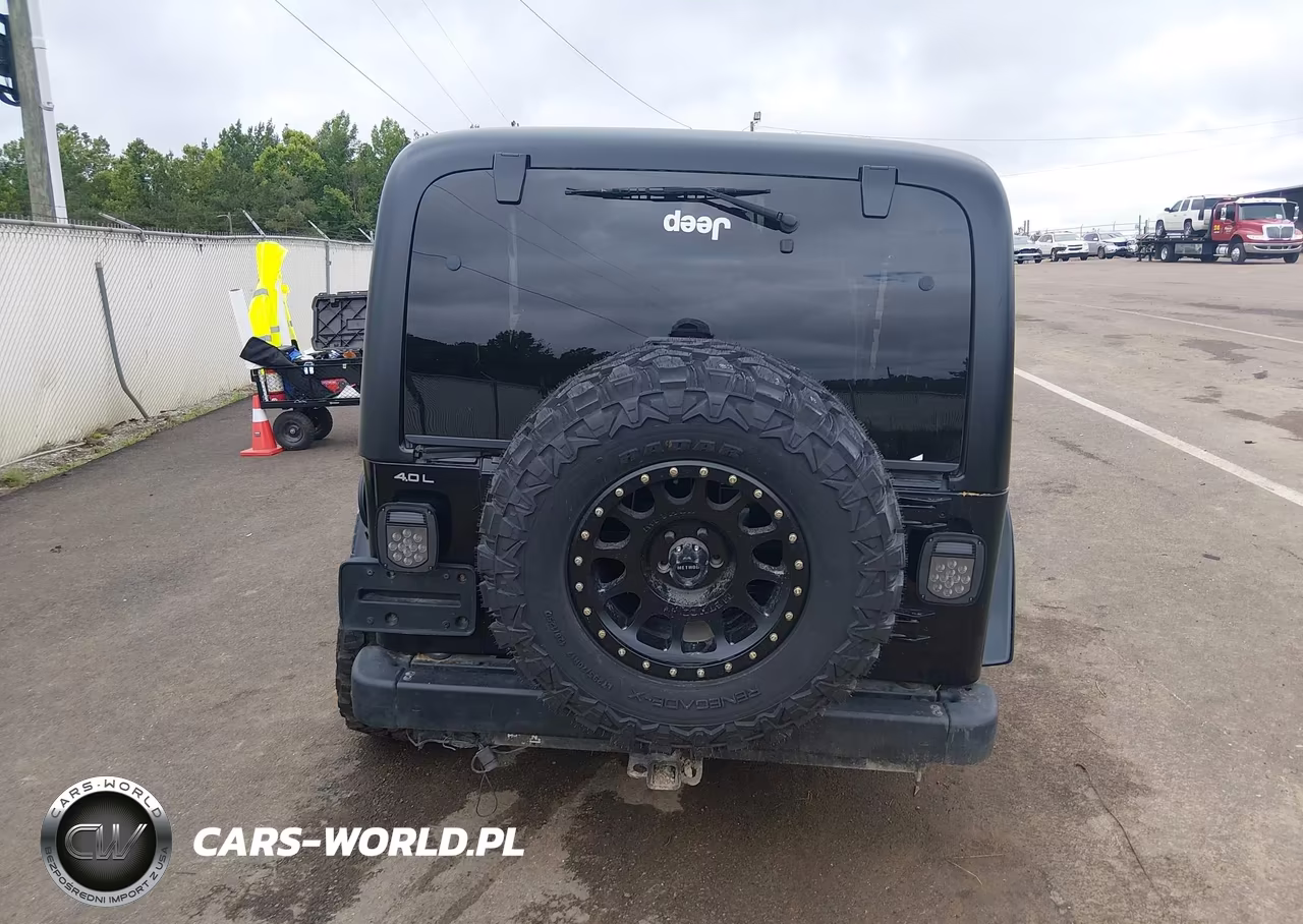 2003 Jeep Wrangler Sahara VIN:1J4FA59SX3P332963 - 16