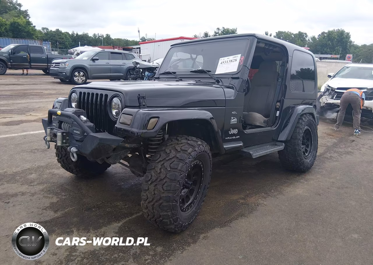 2003 Jeep Wrangler Sahara VIN:1J4FA59SX3P332963 - 2
