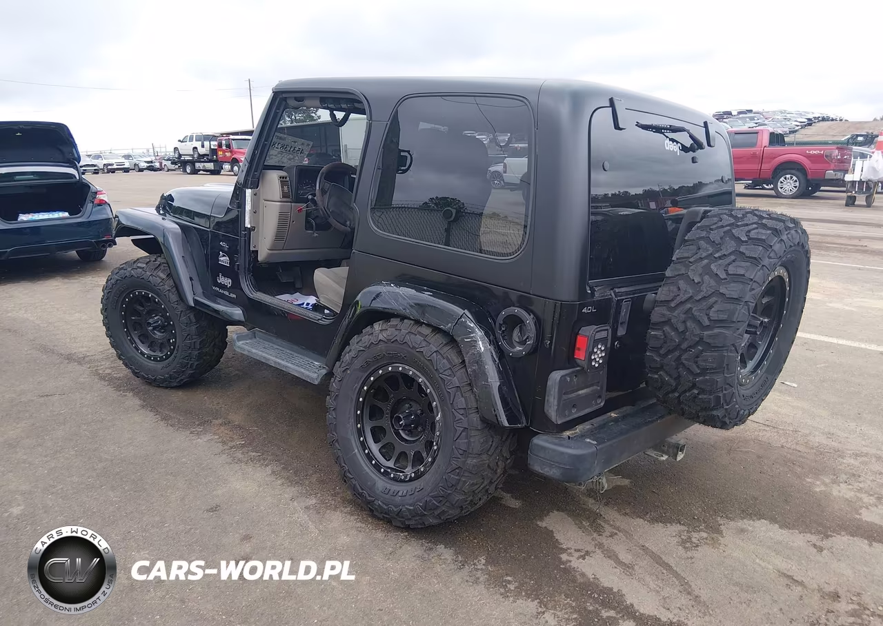 2003 Jeep Wrangler Sahara VIN:1J4FA59SX3P332963 - 3