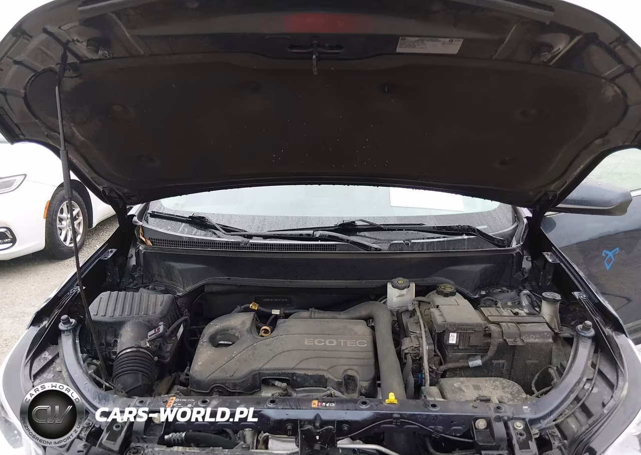 2019 Chevrolet Equinox Lt VIN:3GNAXKEVXKL311318 - 10