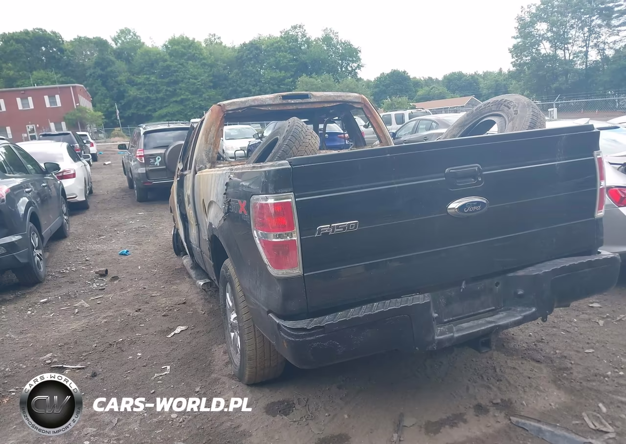 2010 Ford F-150 Stx-Xl VIN:1FTEX1EW6AFC26899 - 3