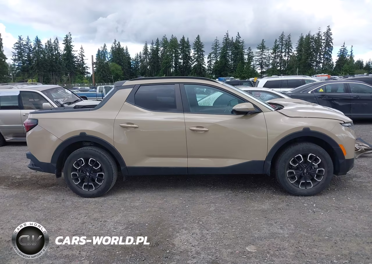 2023 Hyundai Santa Cruz Sel Premium VIN:5NTJDDAFXPH047084 - 14