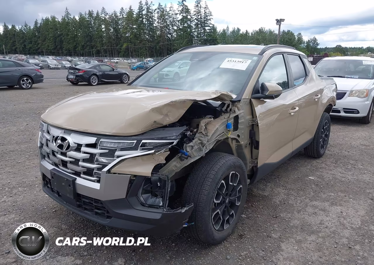 2023 Hyundai Santa Cruz Sel Premium VIN:5NTJDDAFXPH047084 - 2