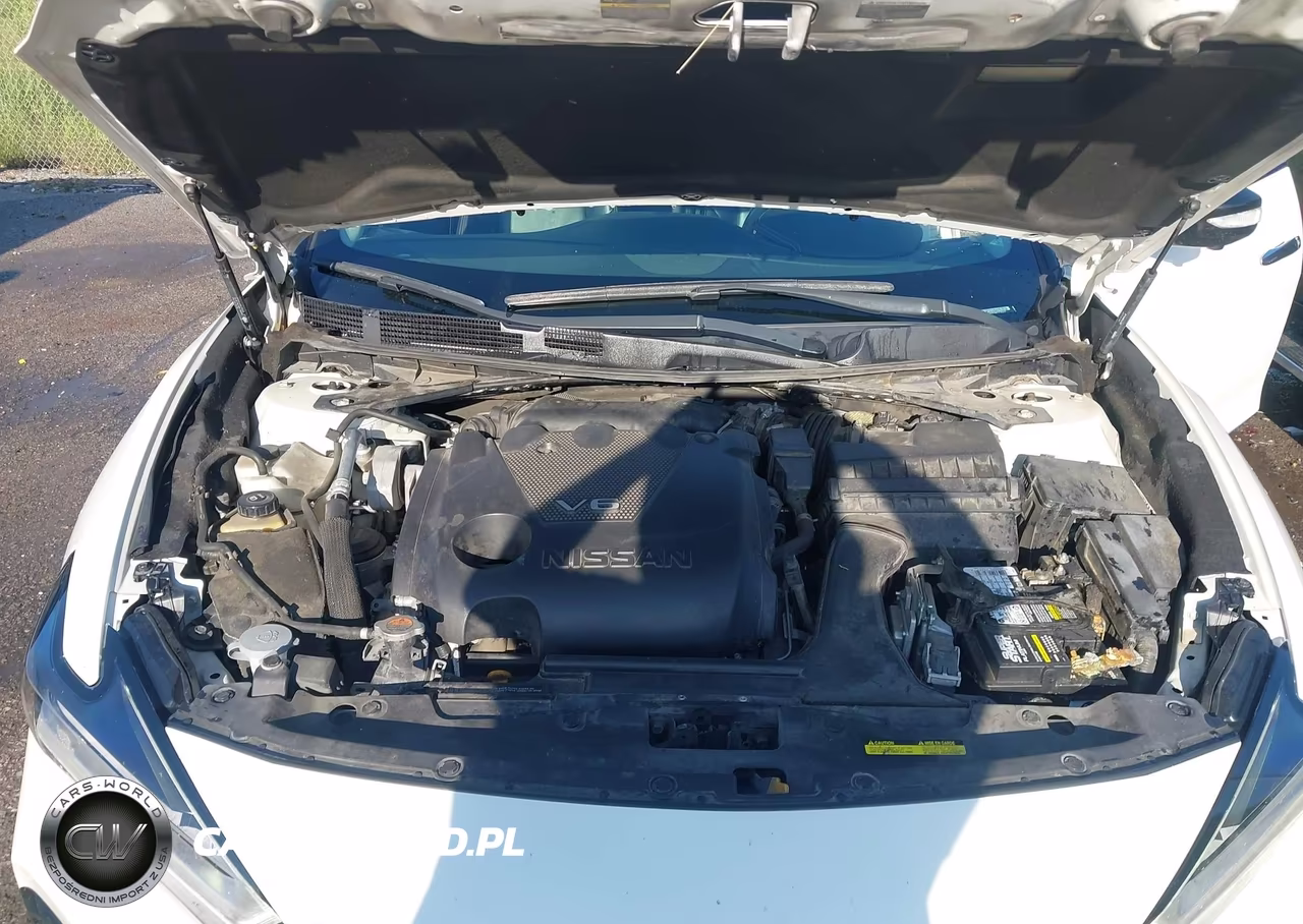 2019 Nissan Maxima 3.5 Platinum VIN:1N4AA6AV4KC378117 - 10