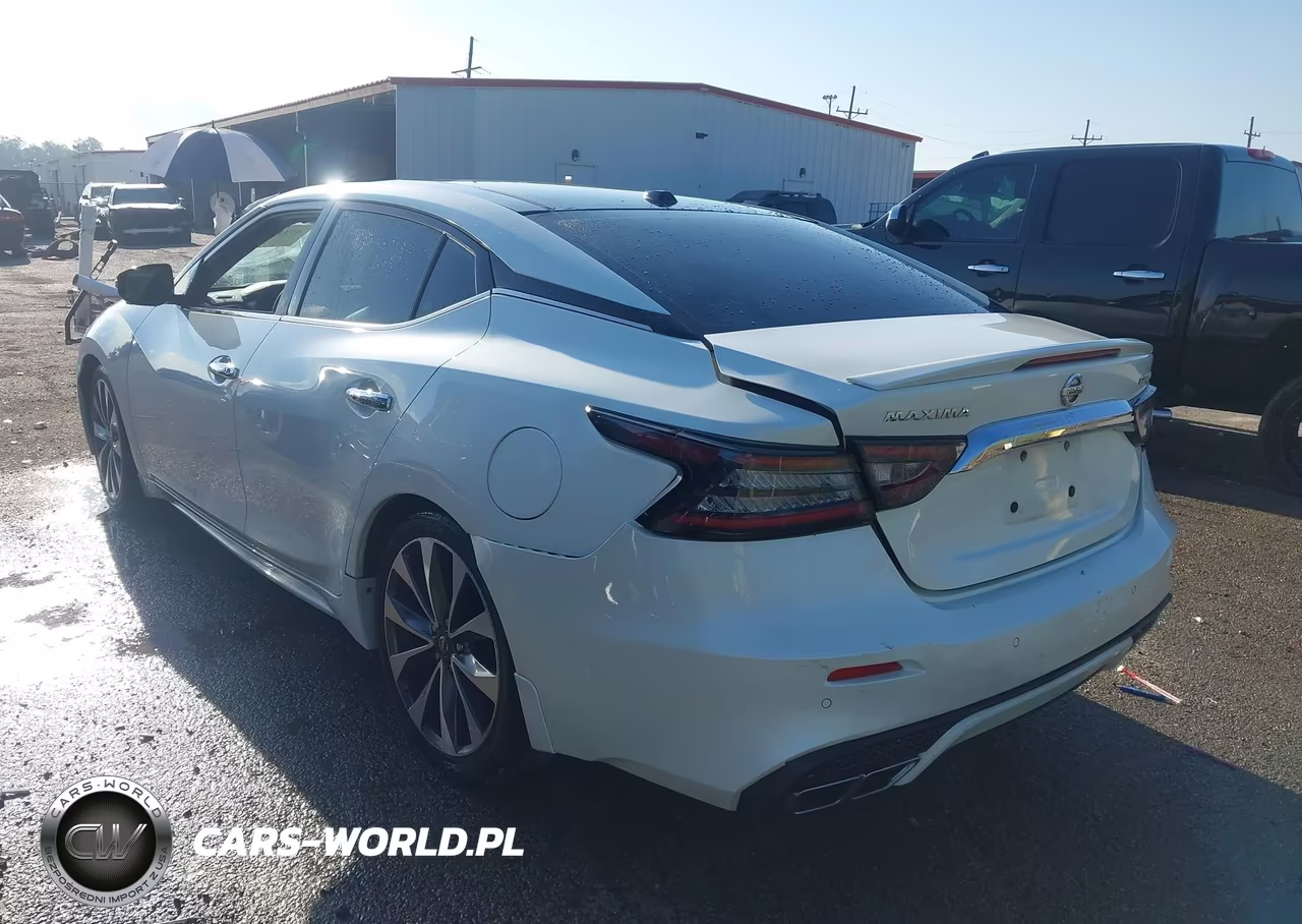 2019 Nissan Maxima 3.5 Platinum VIN:1N4AA6AV4KC378117 - 3