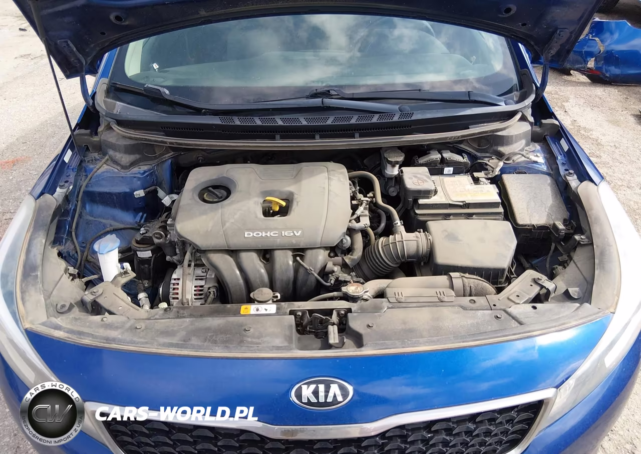 2018 Kia Forte S VIN:3KPFL4A70JE219408 - 10