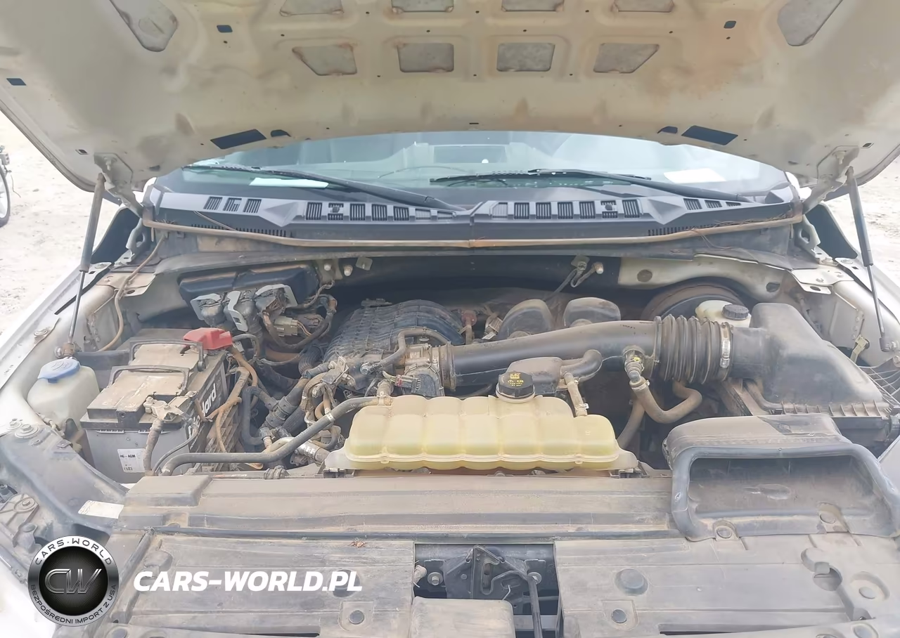 FORD F150 VIN:1FTMF1CB2KKD86754 - 10