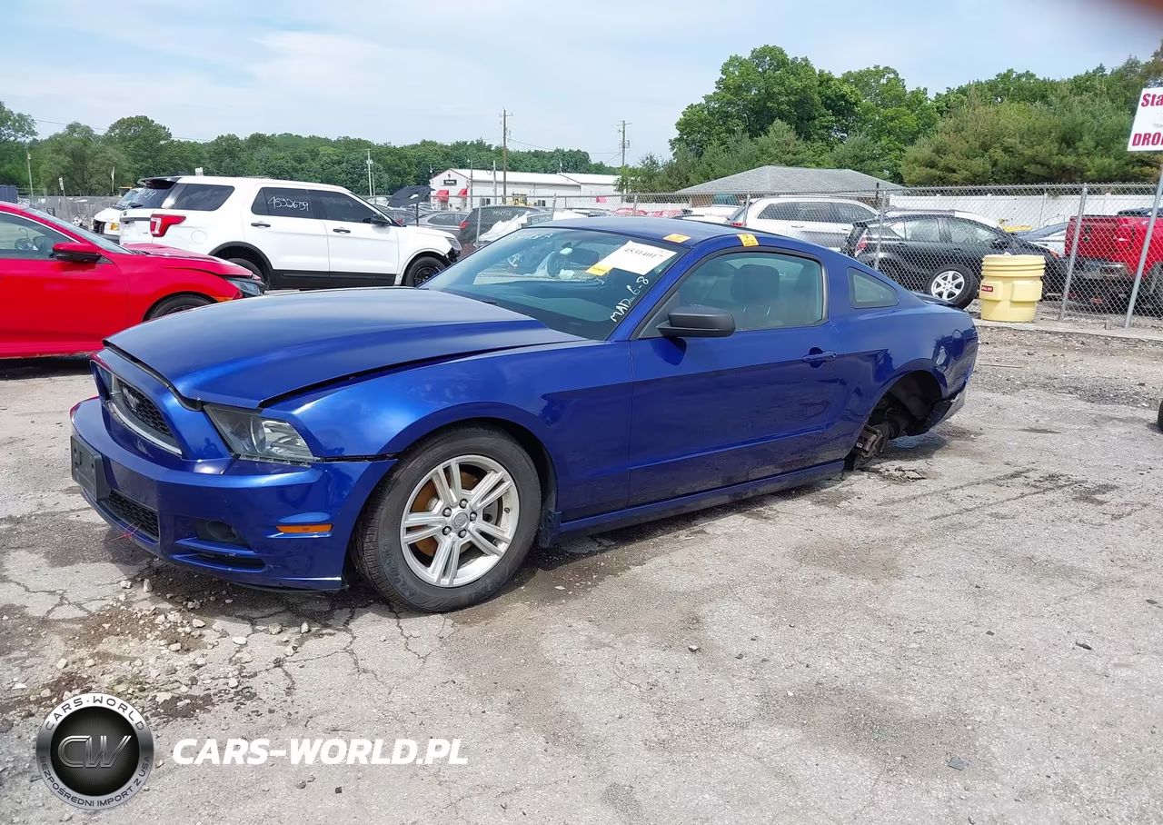 2013 Ford Mustang V6 VIN:1ZVBP8AM4D5240260 - 2