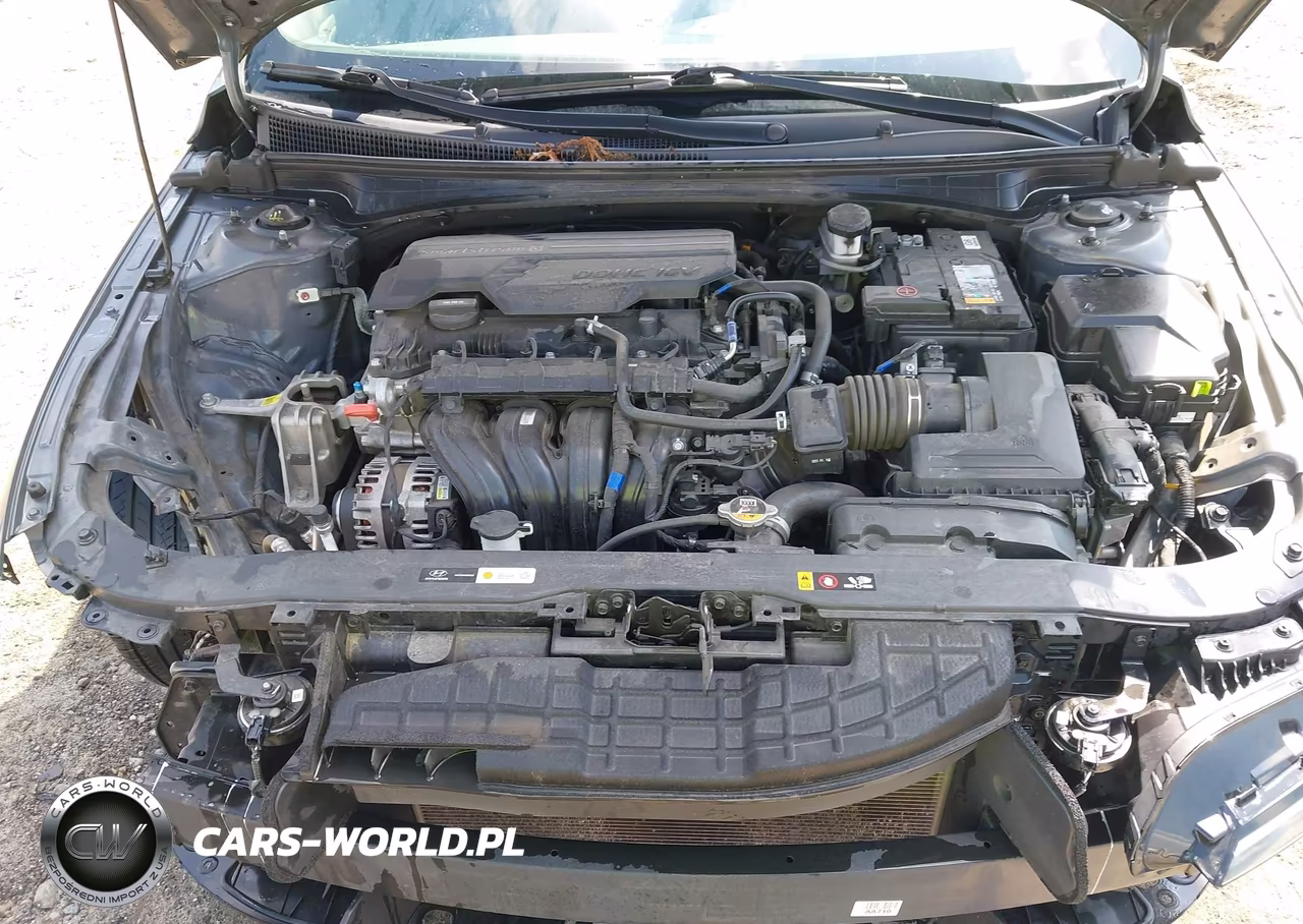 2024 Hyundai Elantra Sel VIN:KMHLS4DG5RU704119 - 10