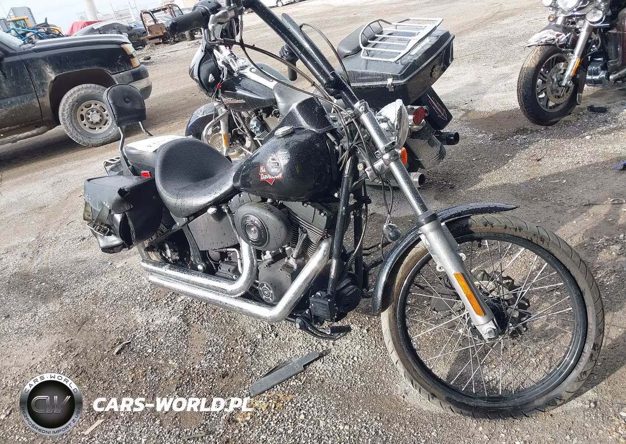 2001 Harley-Davidson Fxstbi – zdjęcie 1 z 13