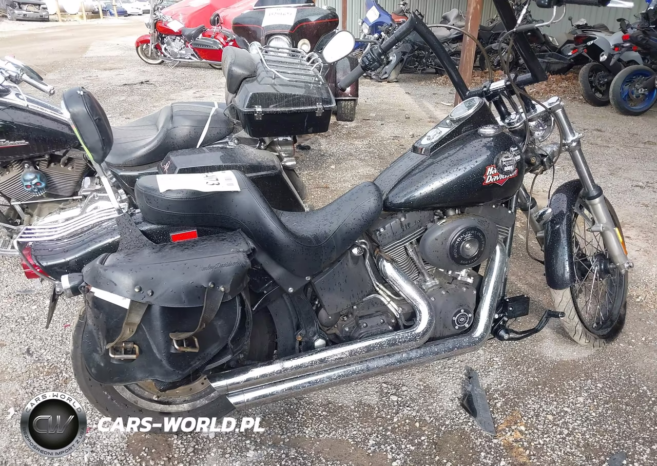 2001 Harley-Davidson Fxstbi VIN:1HD1JAB101Y069284 - 12