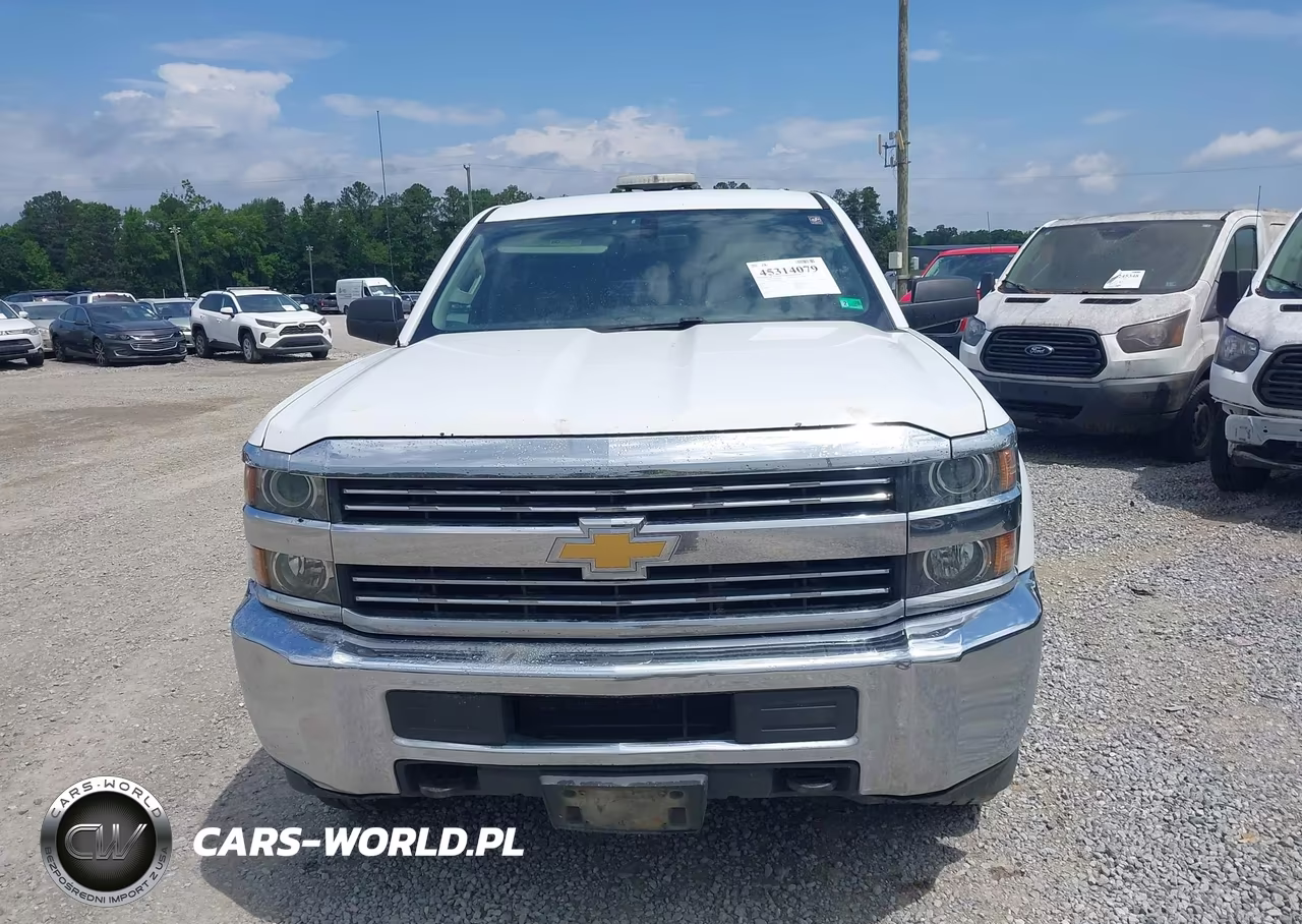 2016 Chevrolet Silverado 2500Hd Wt VIN:1GC2KUEG0GZ362819 - 12