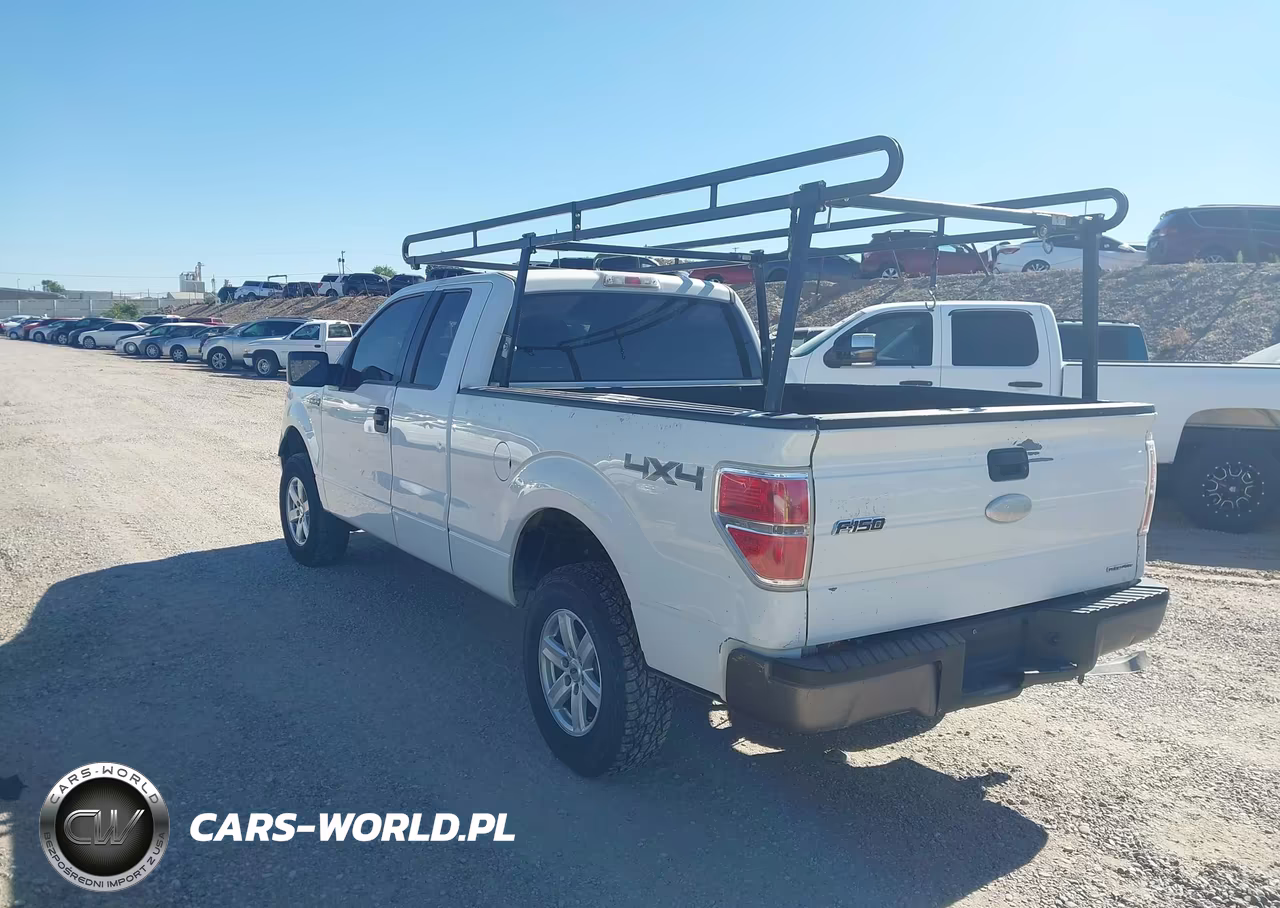 2013 Ford F-150 Xl VIN:1FTFX1EF7DKG35560 - 3