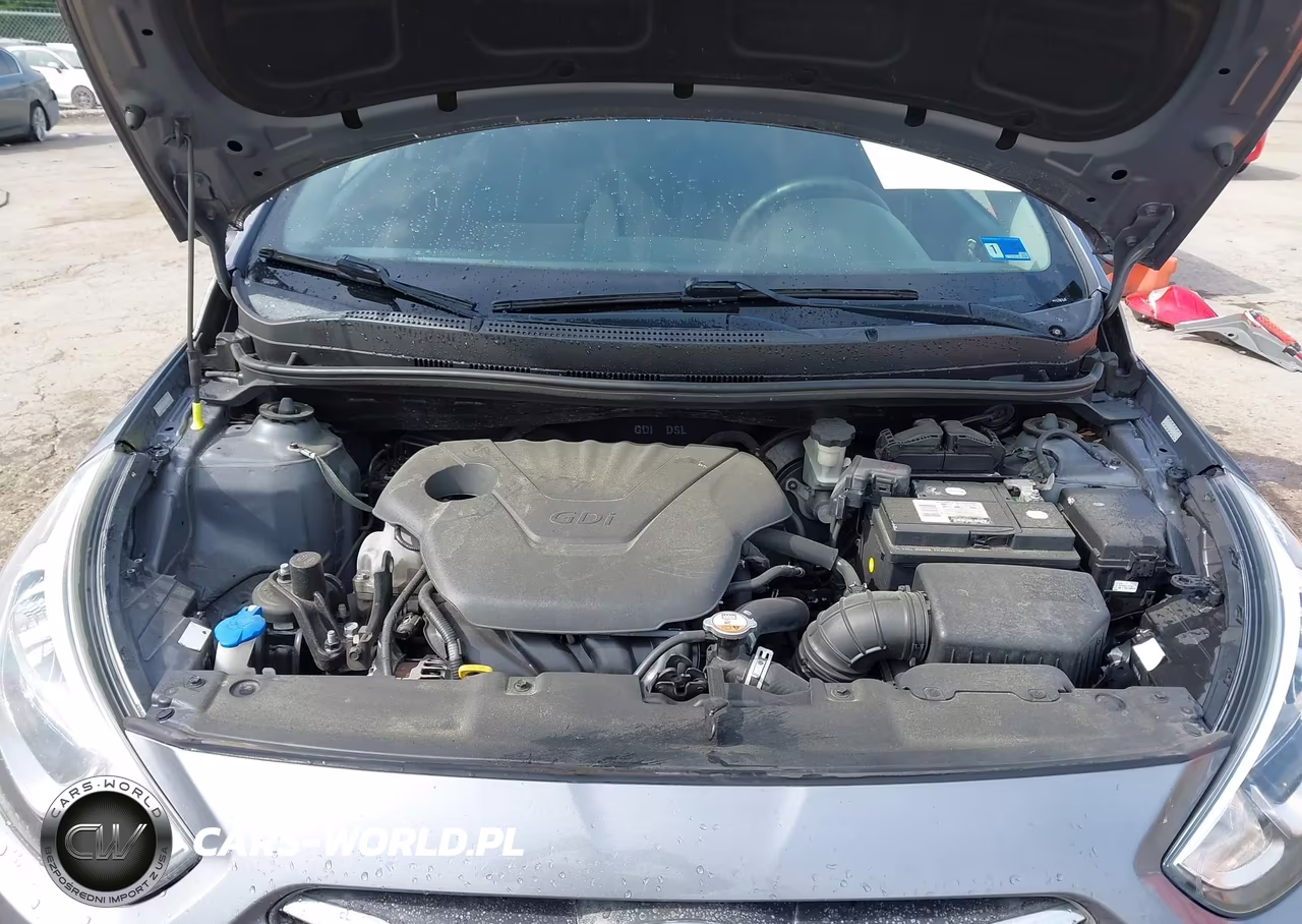 2017 Hyundai Accent Se VIN:KMHCT5AE3HU342411 - 10