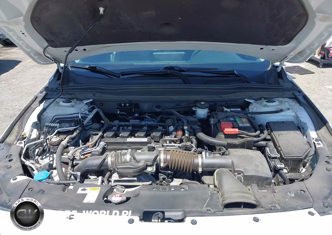 2019 Honda Accord Lx VIN:1HGCV1F10KA031798 - 10