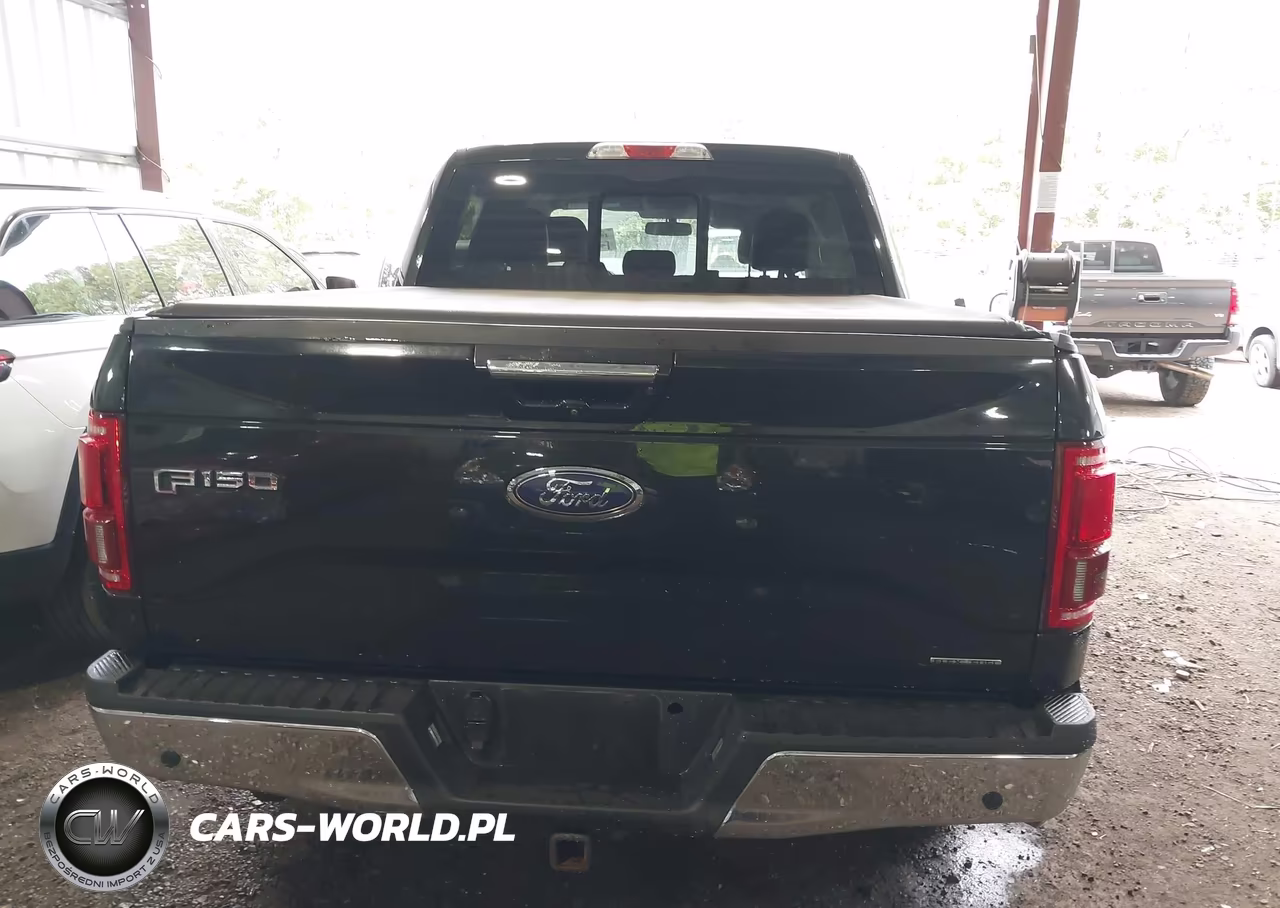 2015 Ford F-150 Lariat VIN:1FTEW1EF8FFB58003 - 16