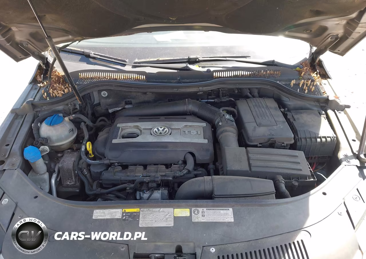 2016 Volkswagen Cc 2.0T Sport VIN:WVWBP7AN0GE502771 - 10