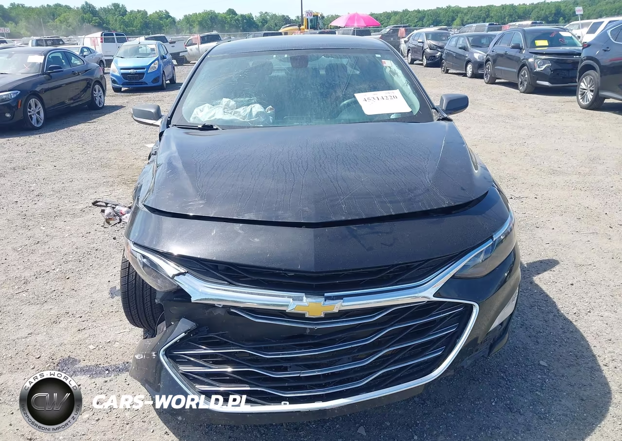 2019 Chevrolet Malibu Lt VIN:1G1ZD5ST6KF115369 - 12