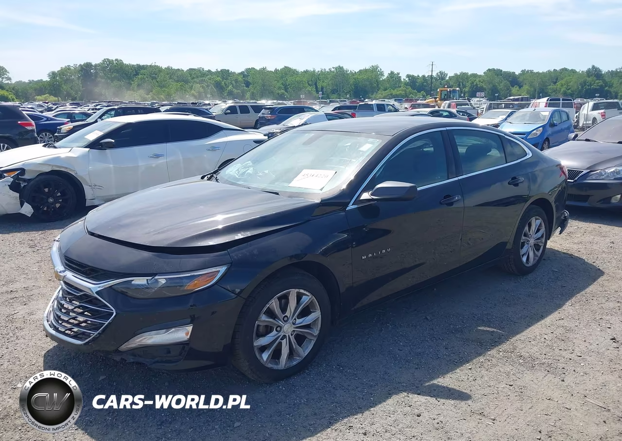 2019 Chevrolet Malibu Lt VIN:1G1ZD5ST6KF115369 - 2