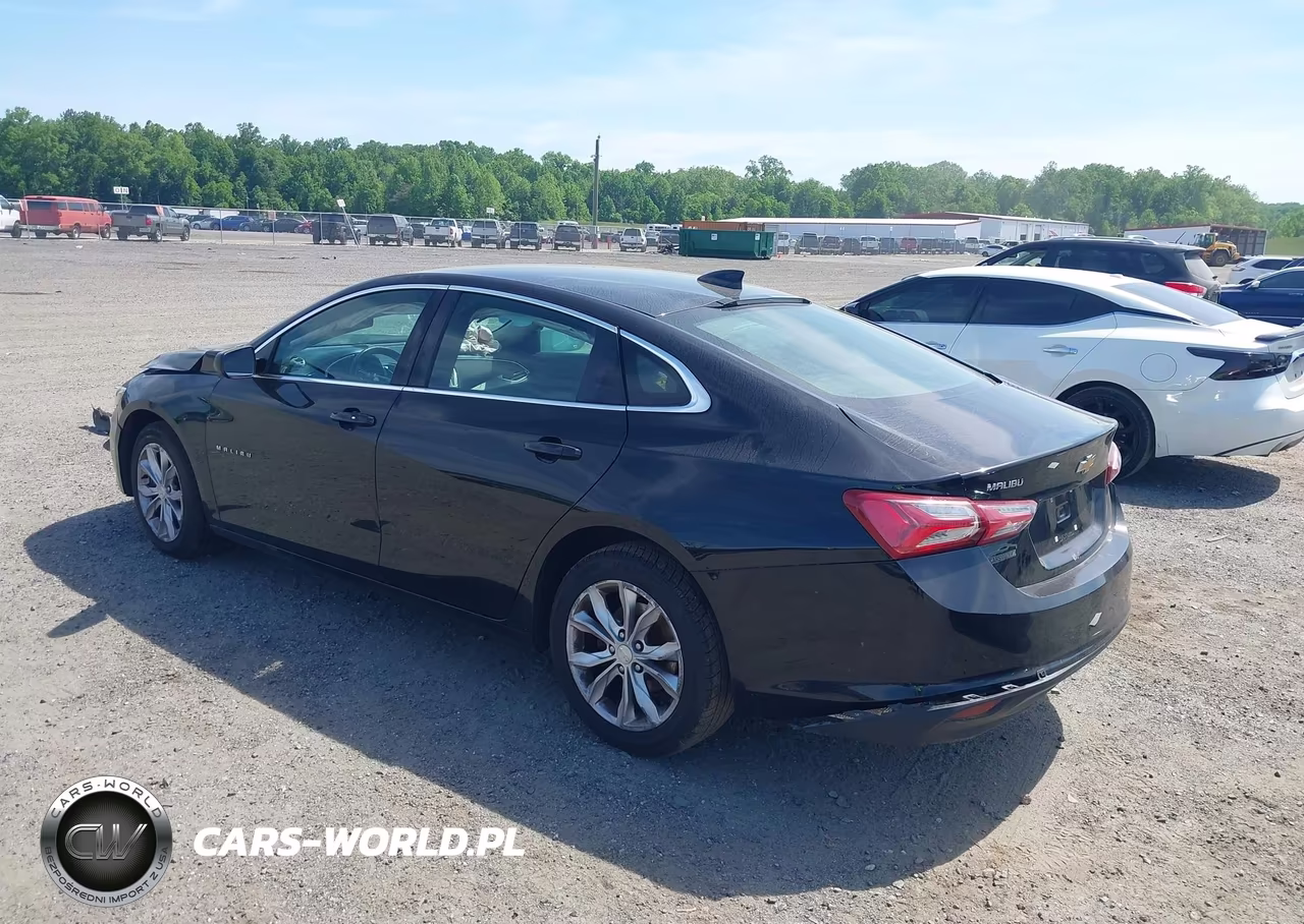 2019 Chevrolet Malibu Lt VIN:1G1ZD5ST6KF115369 - 3