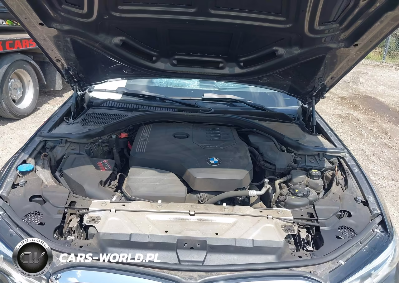 2019 BMW 330I xDrive VIN:WBA5R7C56KAJ81448 - 10