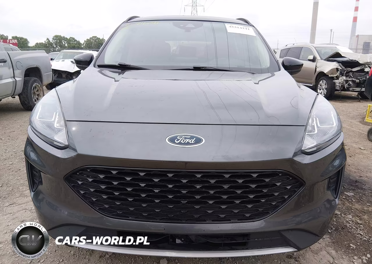 2020 Ford Escape Se Sport Hybrid VIN:1FMCU0BZ7LUB44456 - 6