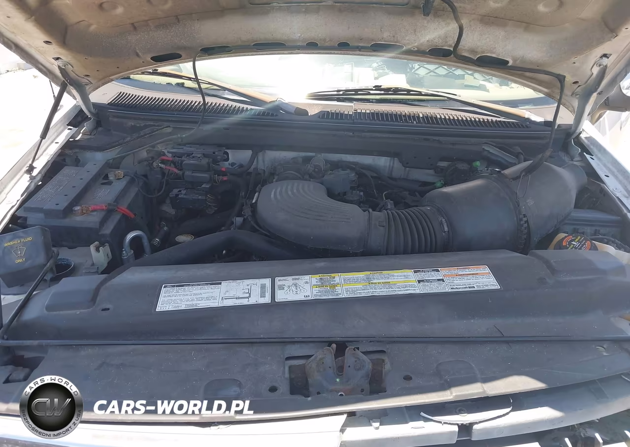 1998 Ford Expedition Eddie Bauer-Xlt VIN:1FMRU1760WLB87805 - 10