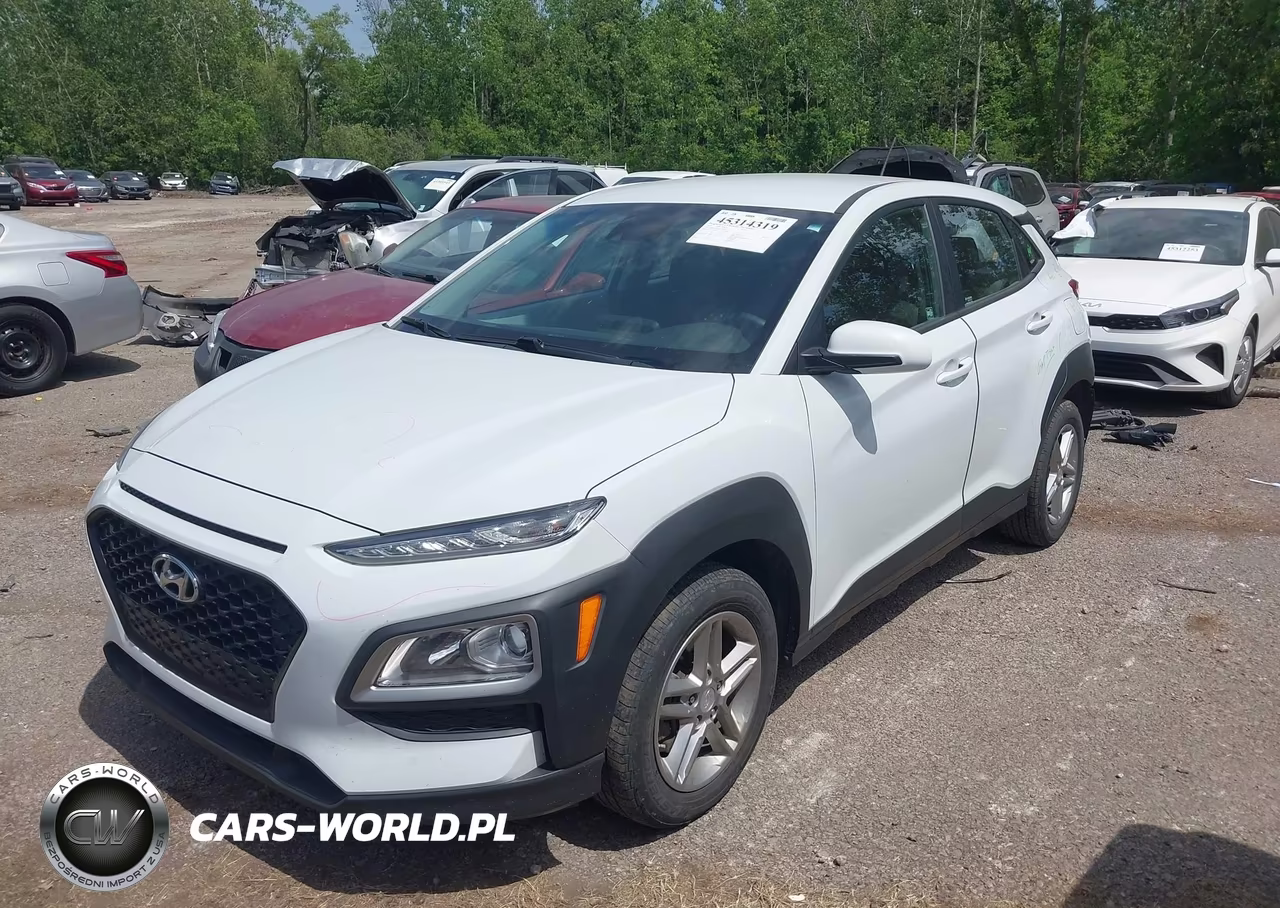 2019 Hyundai Kona Se VIN:KM8K1CAAXKU281813 - 2