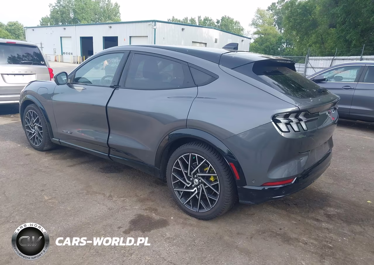 2021 Ford Mustang Mach-E Premium VIN:3FMTK3SU9MMA03308 - 3