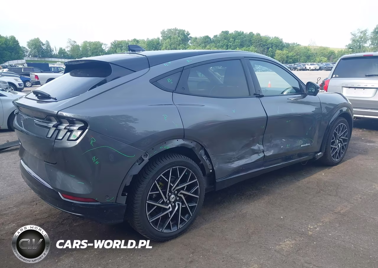 2021 Ford Mustang Mach-E Premium VIN:3FMTK3SU9MMA03308 - 4