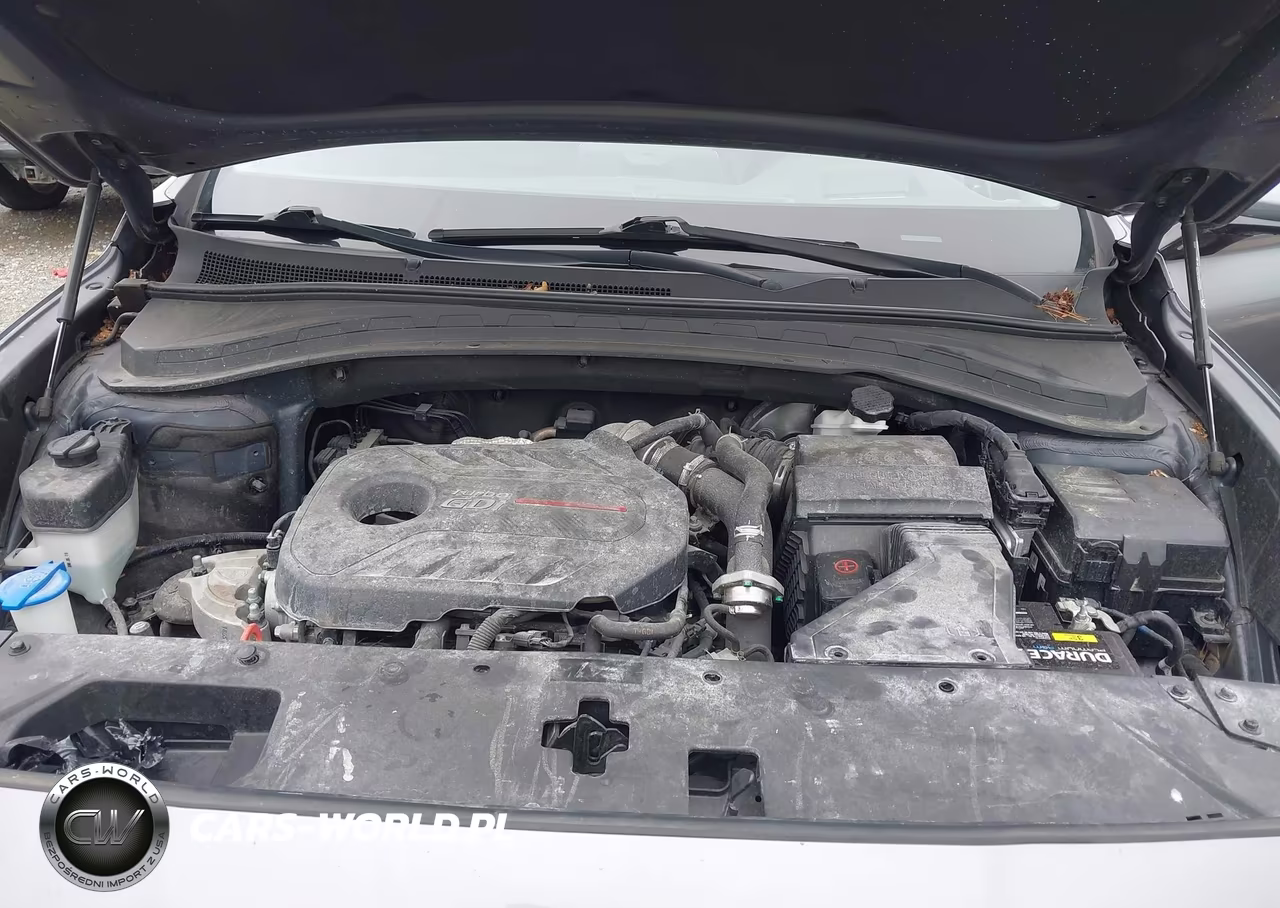 2019 Hyundai Santa Fe Ultimate 2.0T VIN:5NMS53AAXKH016406 - 10