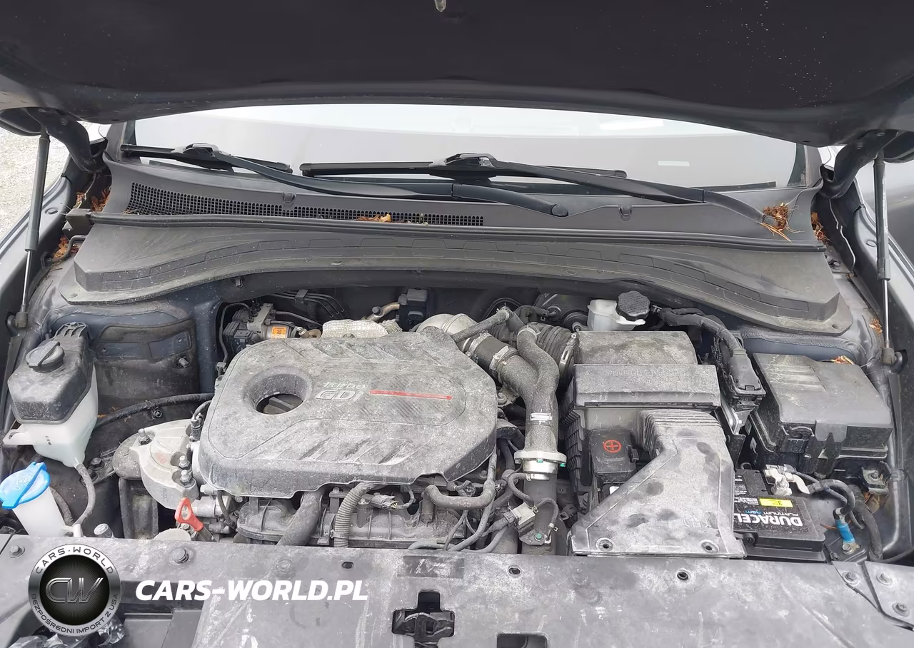 2019 Hyundai Santa Fe Ultimate 2.0T VIN:5NMS53AAXKH016406 - 11