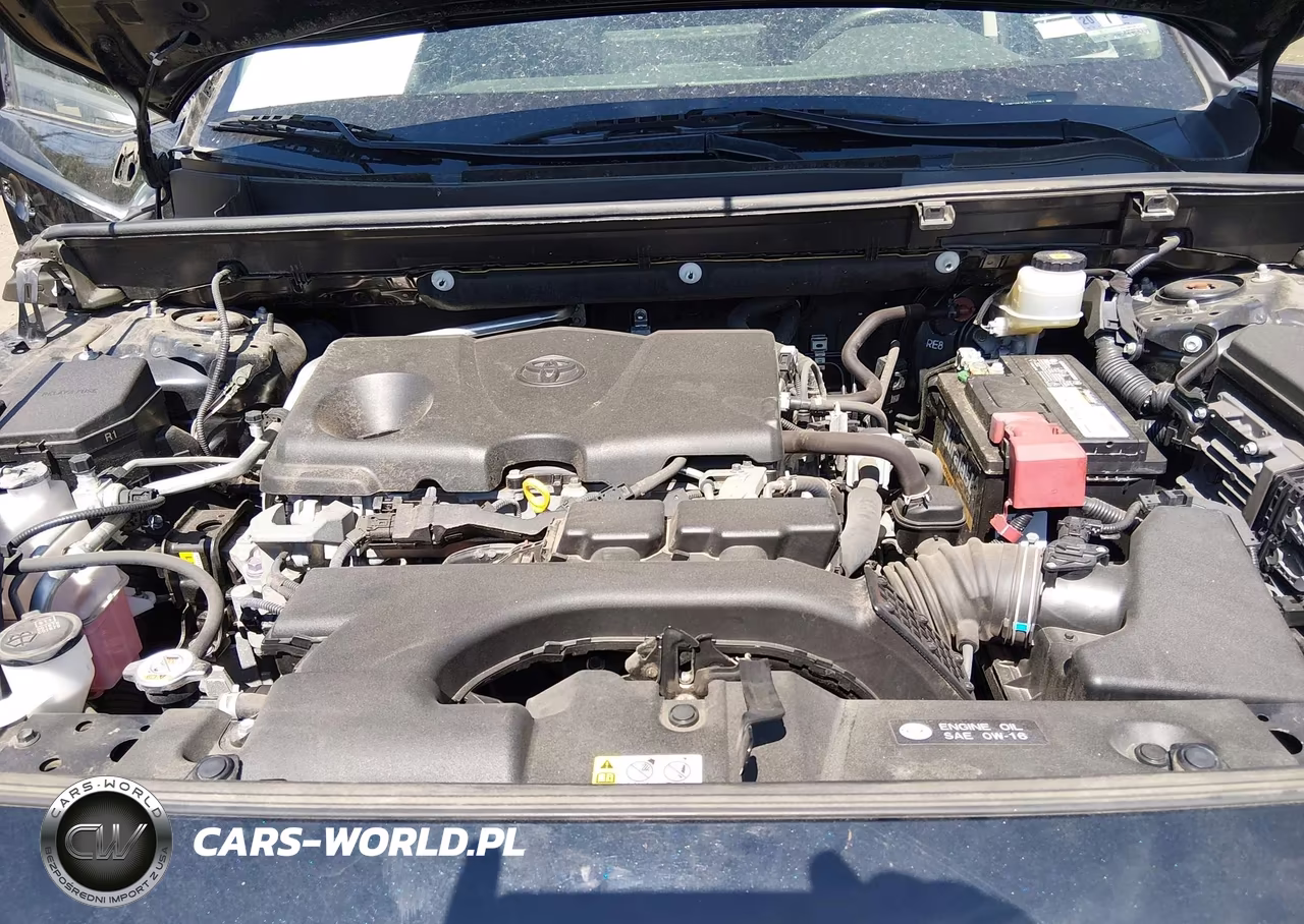 2019 Toyota Rav4 Xle VIN:JTMP1RFV2KD007157 - 10
