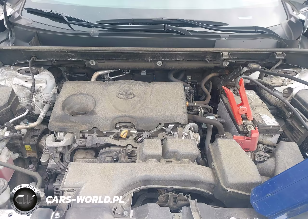 2024 Toyota Rav4 Xle VIN:2T3P1RFV1RC418161 - 10