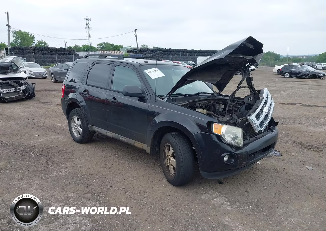 2010 Ford Escape Xlt