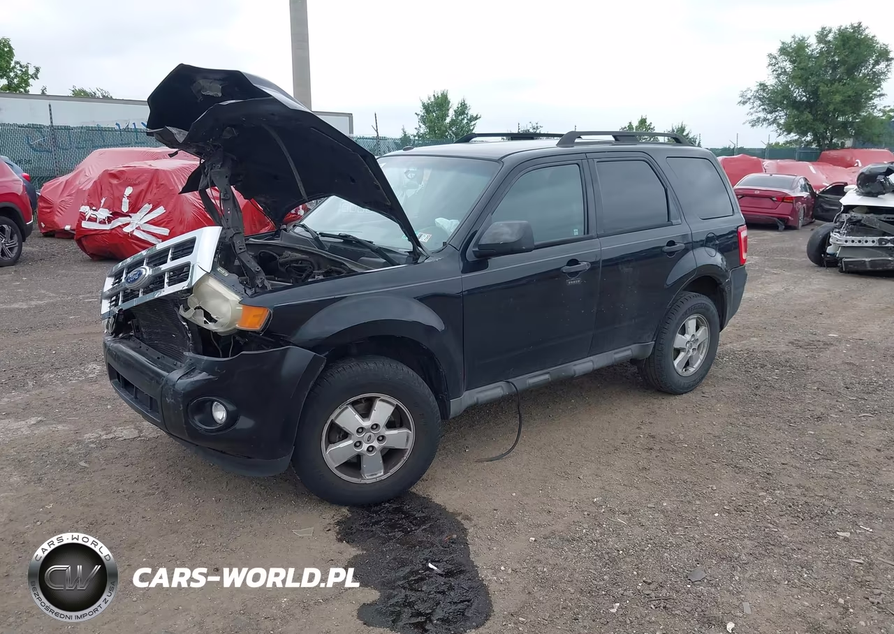 2010 Ford Escape Xlt VIN:1FMCU0D75AKB90131 - 2