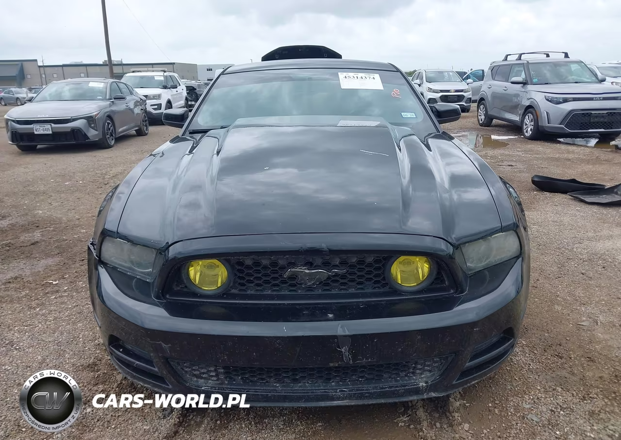 2013 Ford Mustang Gt Premium VIN:1ZVBP8CF6D5284307 - 13