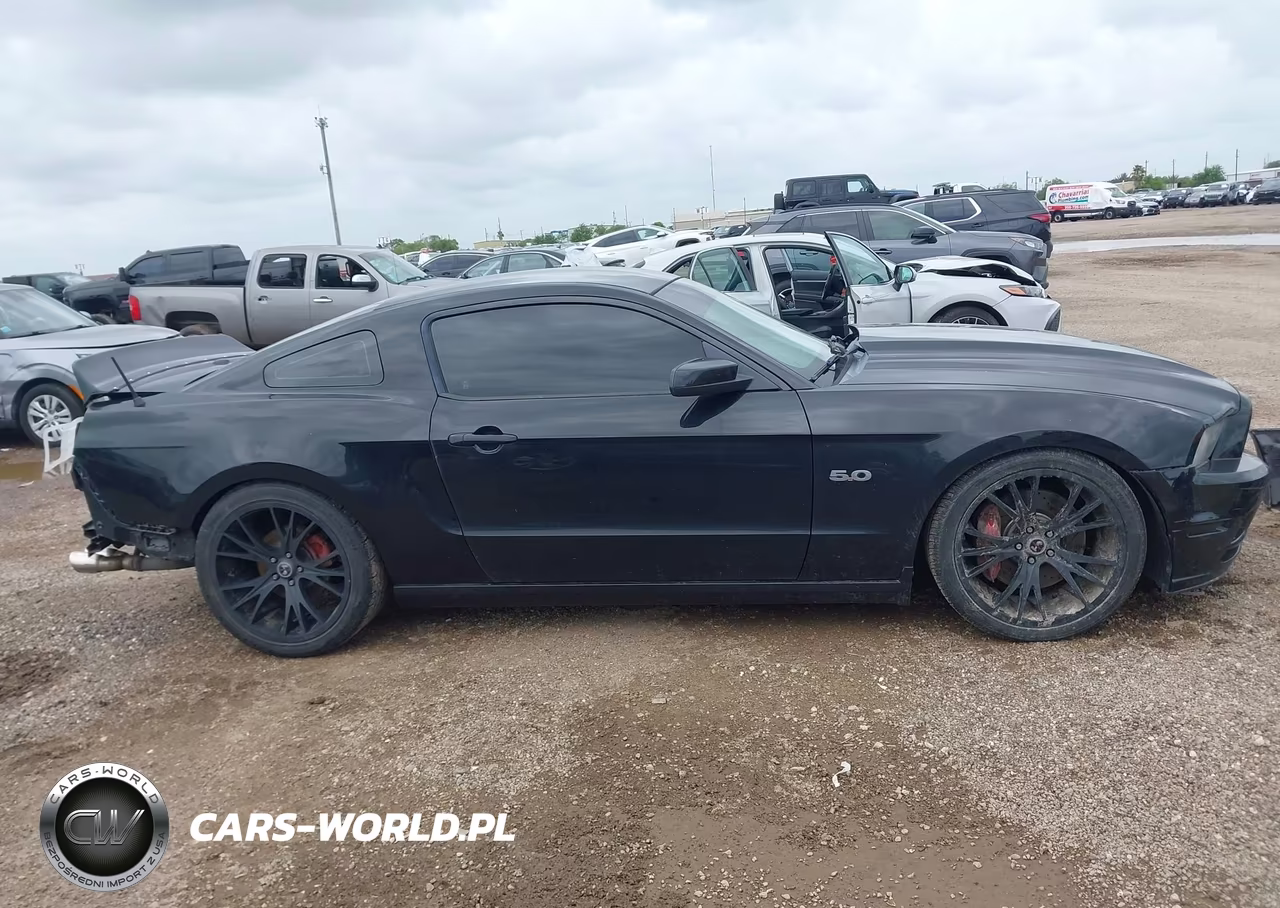 2013 Ford Mustang Gt Premium VIN:1ZVBP8CF6D5284307 - 14