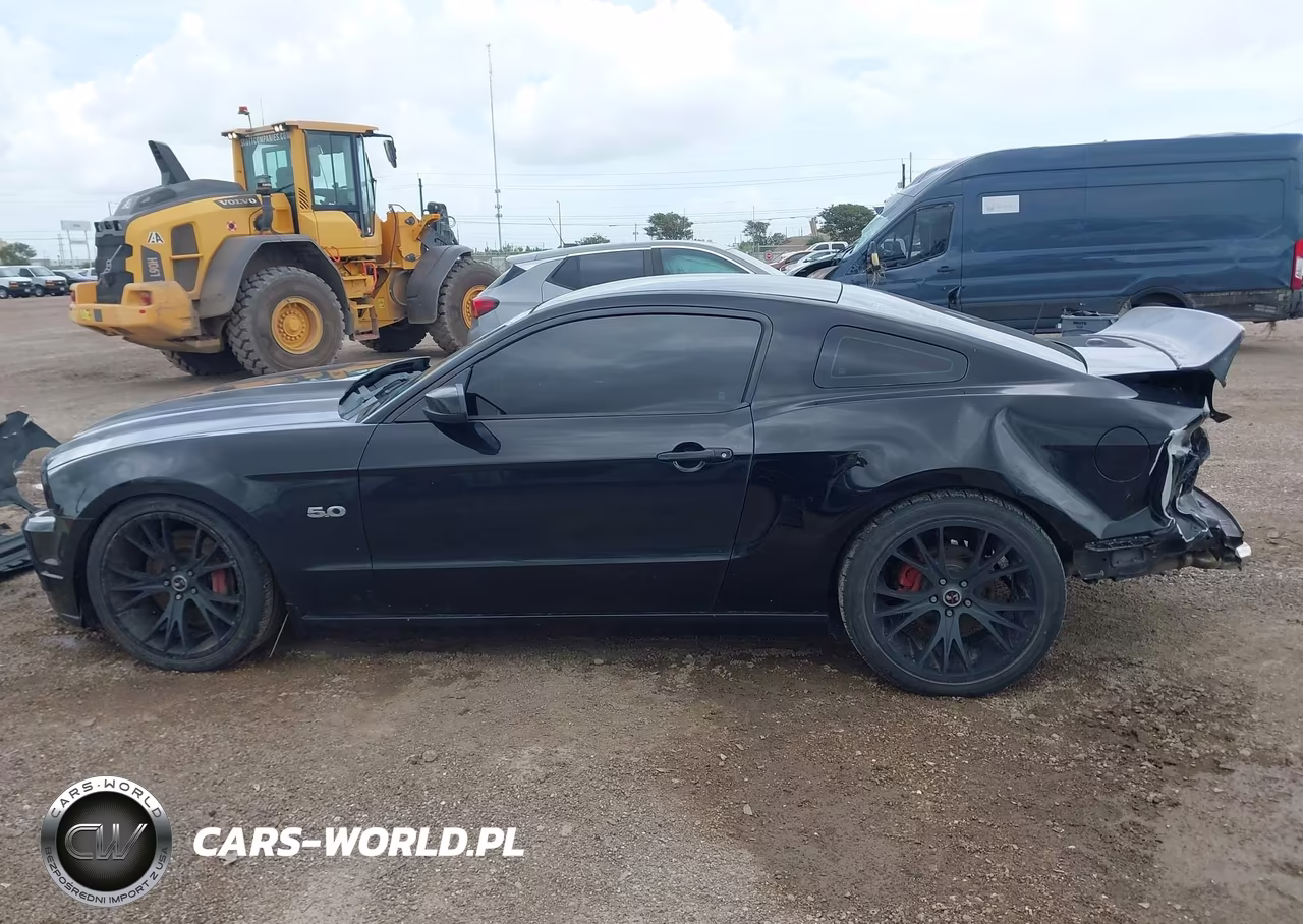 2013 Ford Mustang Gt Premium VIN:1ZVBP8CF6D5284307 - 15