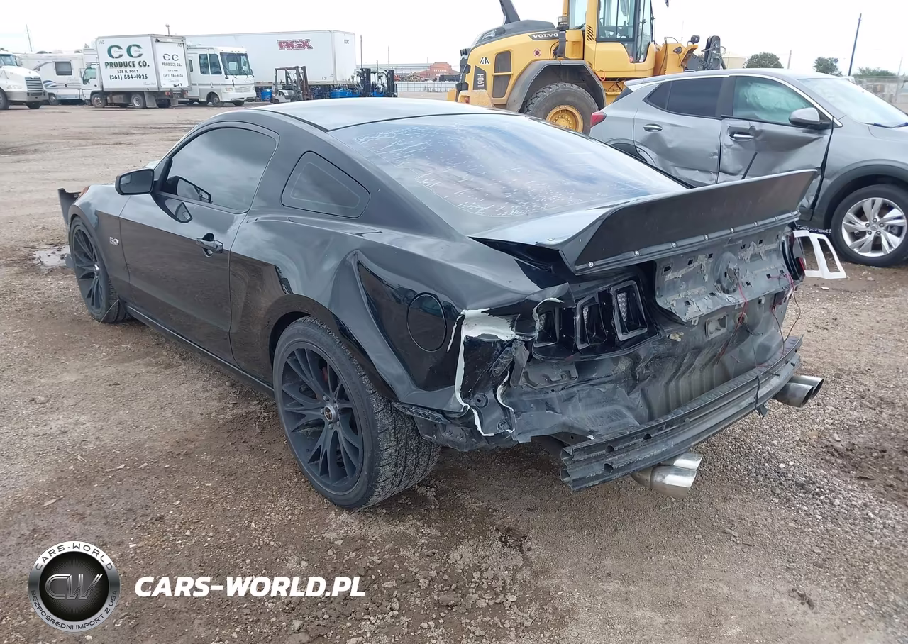 2013 Ford Mustang Gt Premium VIN:1ZVBP8CF6D5284307 - 3