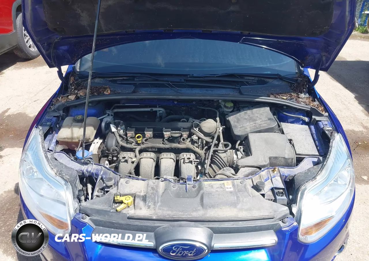 2014 Ford Focus Se VIN:1FADP3F20EL254102 - 10