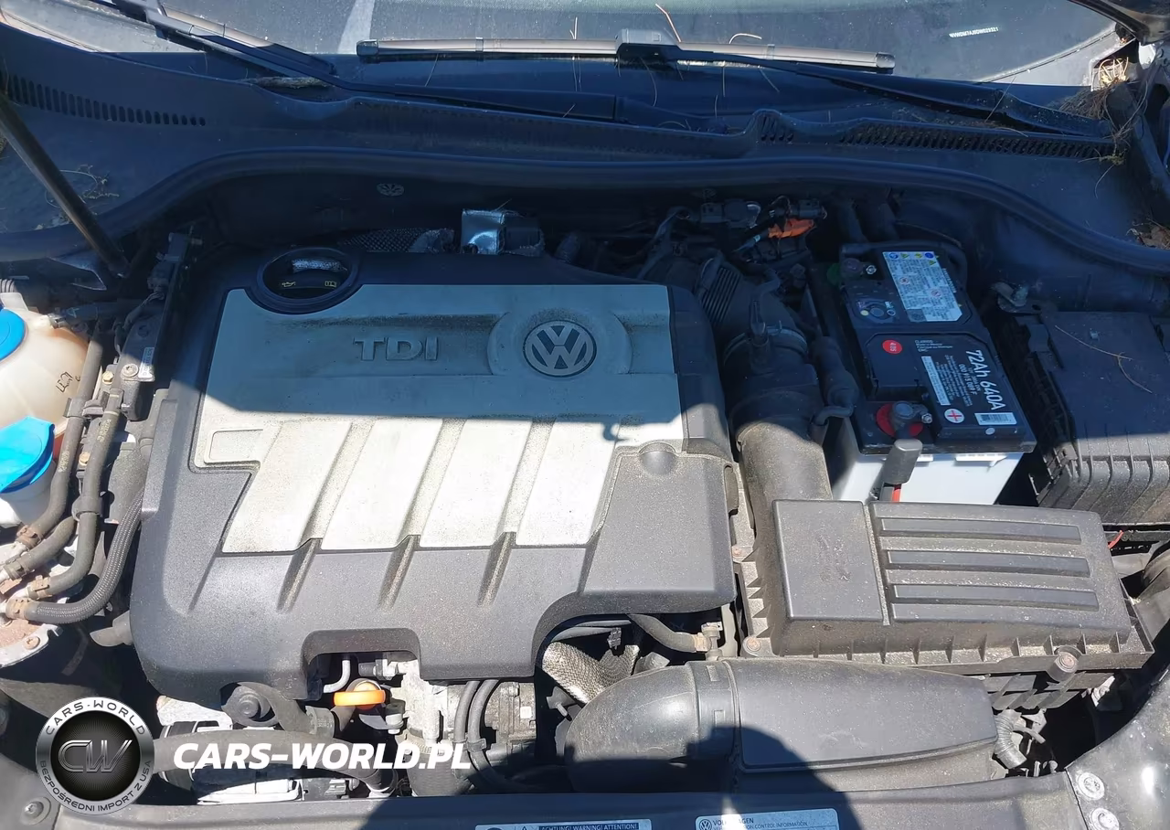 2013 Volkswagen Golf 2.0L Tdi 4-Door VIN:WVWDM7AJ8DW029321 - 10