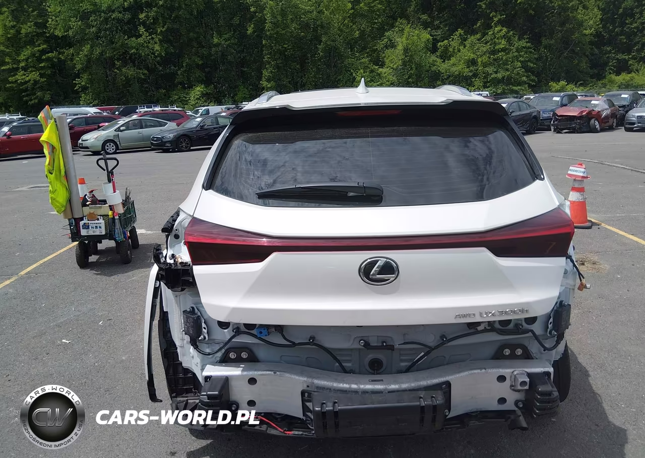 2025 Lexus Ux 300H Premium VIN:JTHUCJDH5S2009149 - 17