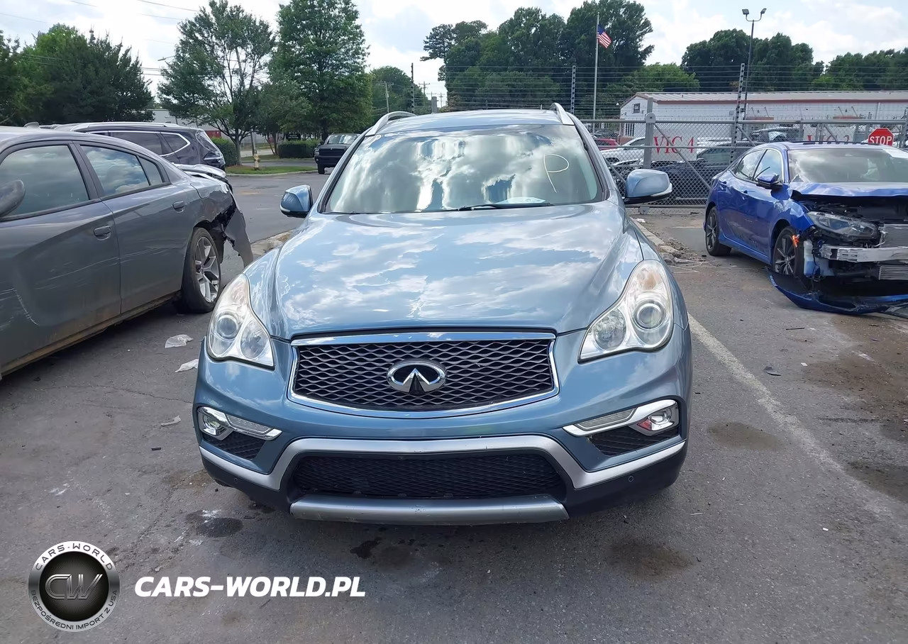 2017 INFINITI QX50 VIN:JN1BJ0RP1HM384108 - 12