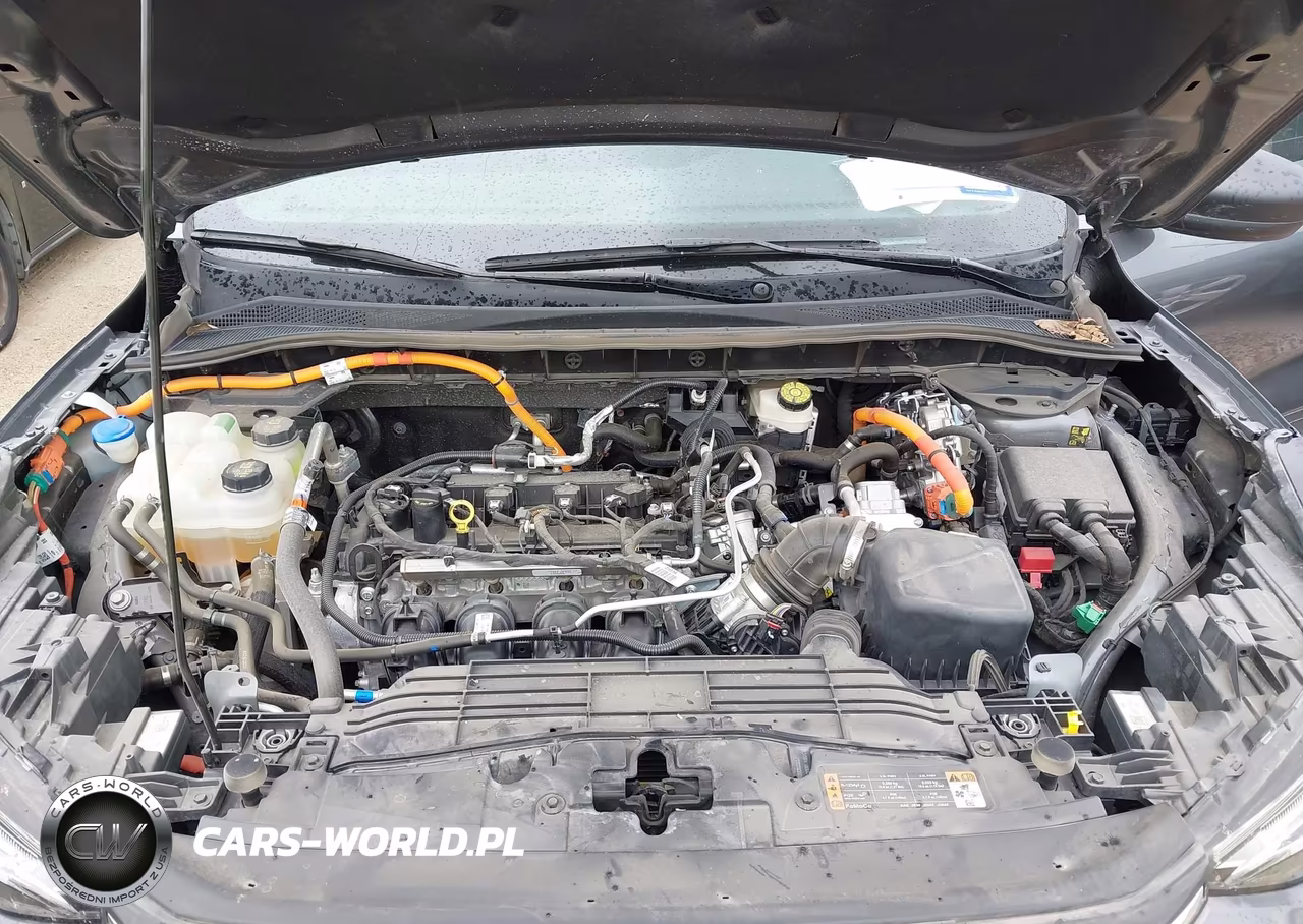 2025 Ford Escape St-Line VIN:1FMCU0MZ5SUA21816 - 10