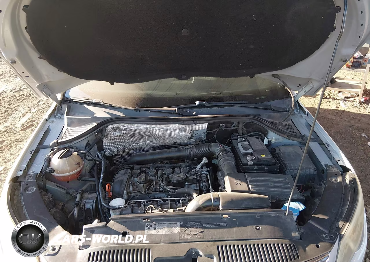 2009 Volkswagen Tiguan Sel VIN:WVGAV75N69W529431 - 10