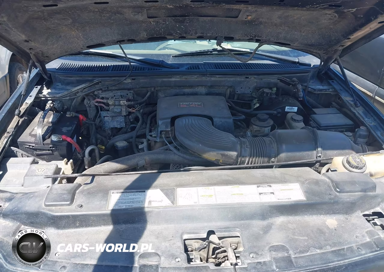 1998 Ford Expedition Eddie Bauer-Xlt VIN:1FMPU18L4WLC08053 - 10