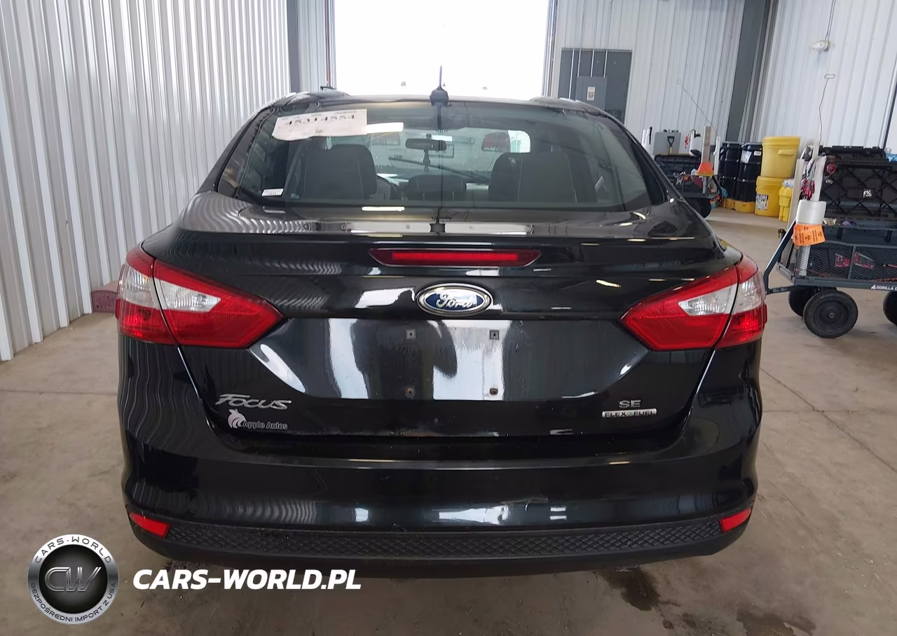 2014 Ford Focus Se VIN:1FADP3F26EL305778 - 16