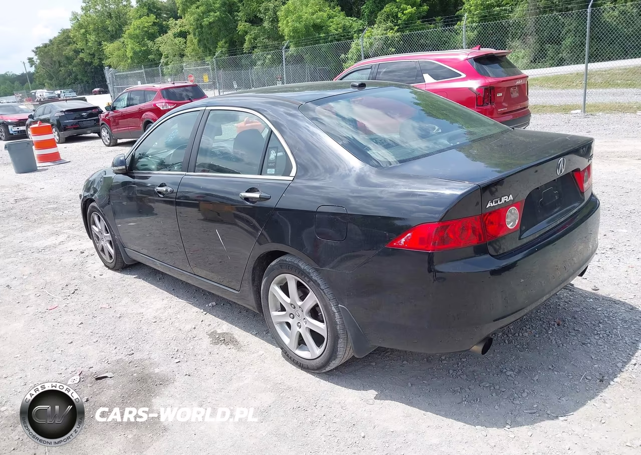2005 Acura Tsx VIN:JH4CL96865C034809 - 3